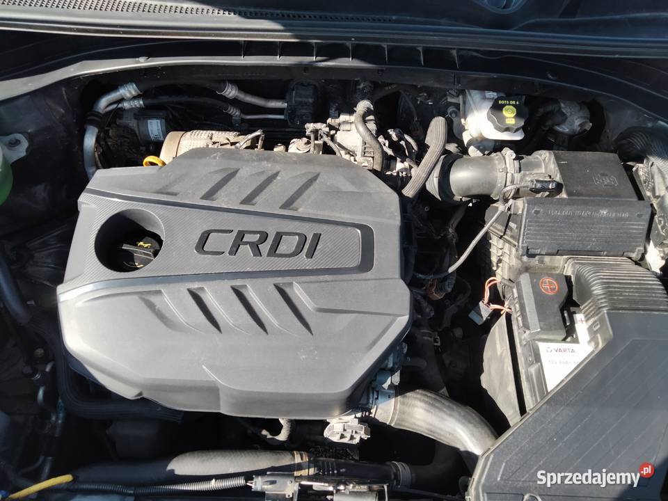 Sprzedam kia sportage 16 crdi 116 1600cm3 Rzuchowa