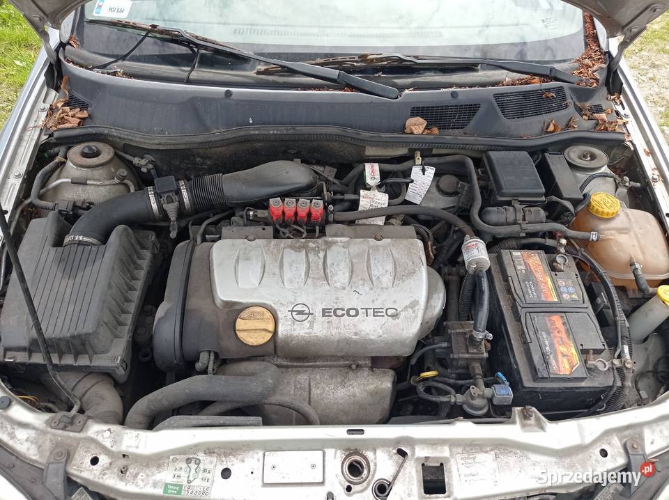Opel Astra 18 85 kW 1998 r dawca części