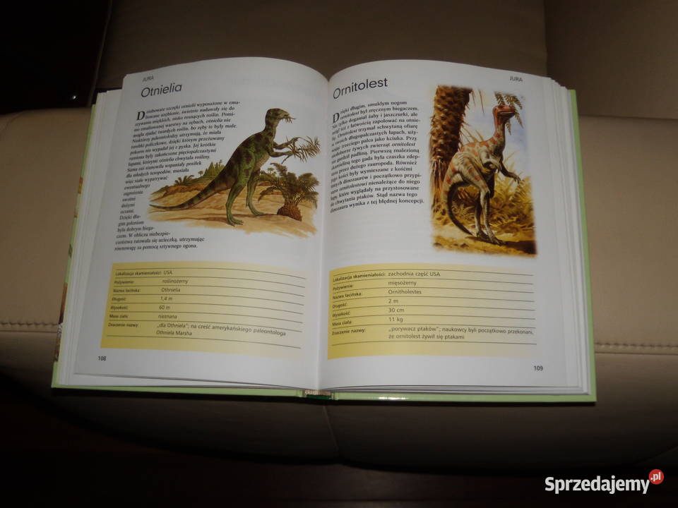 Dinozaury allozaura do tyranozaura Rok wydania 2007 sprzedam