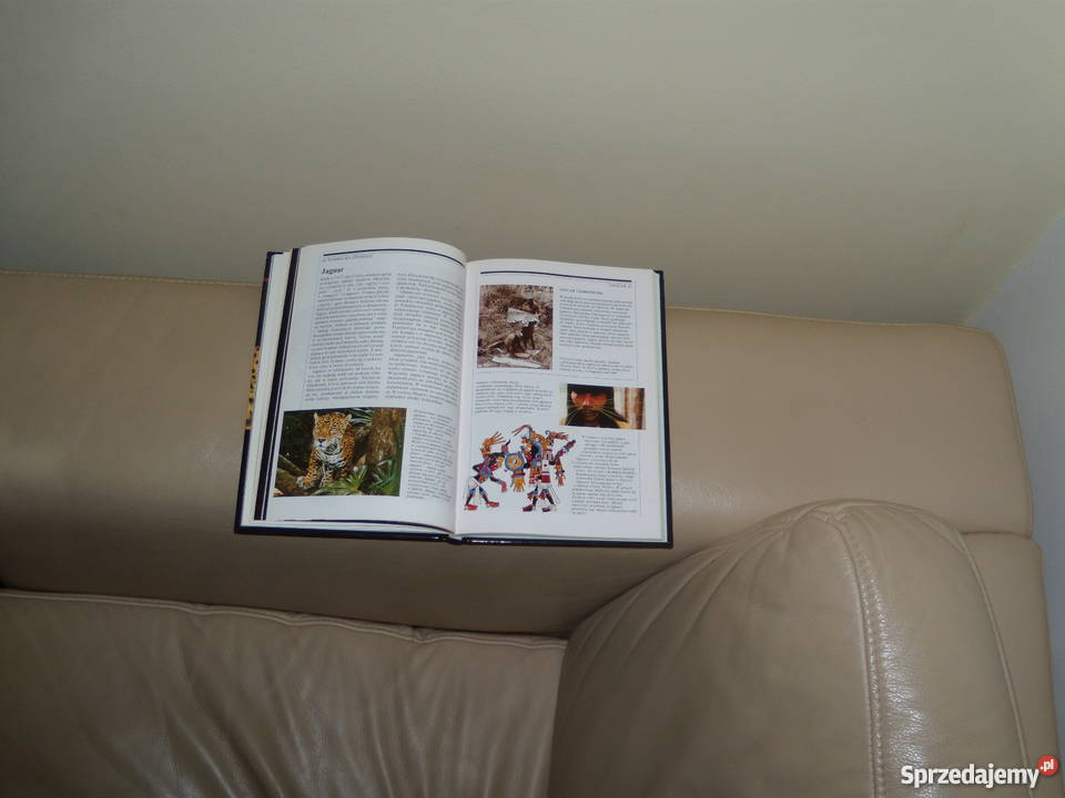 Dusze zwierząt Nicholas J Saunders Rok wydania 1996 Warszawa