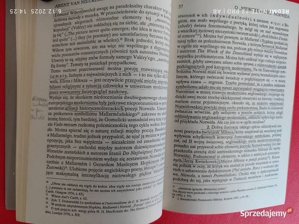 Teksty Drugie 6 36 1995 Romantyzm wiecznie żywy