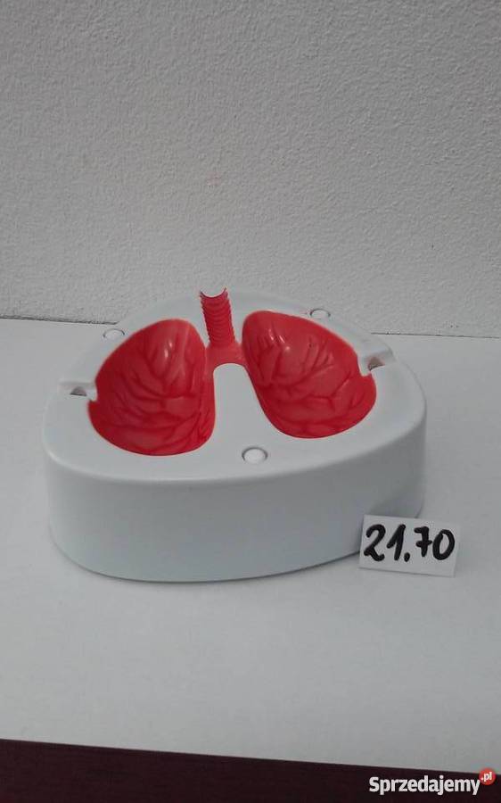 Kaszląca popielniczka Pozostałe