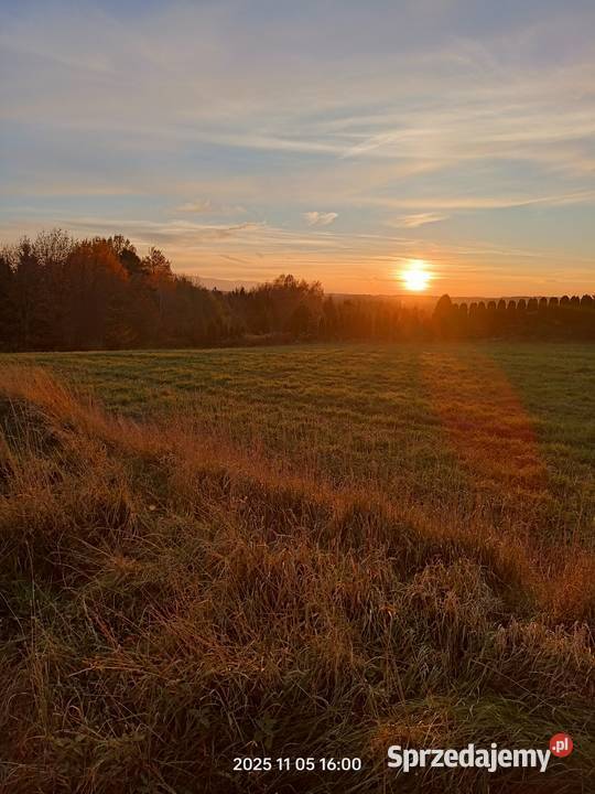 Sprzedam działkę budowlaną 2980m2 Nieruchomości