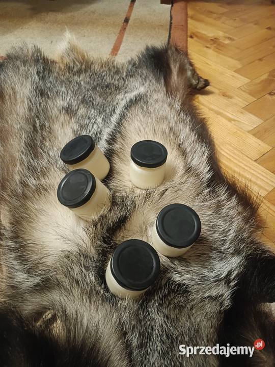 Sadło z borsuka Jeżowe