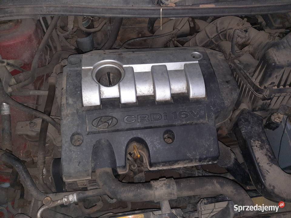 Hyundai Trajet sprowadzony