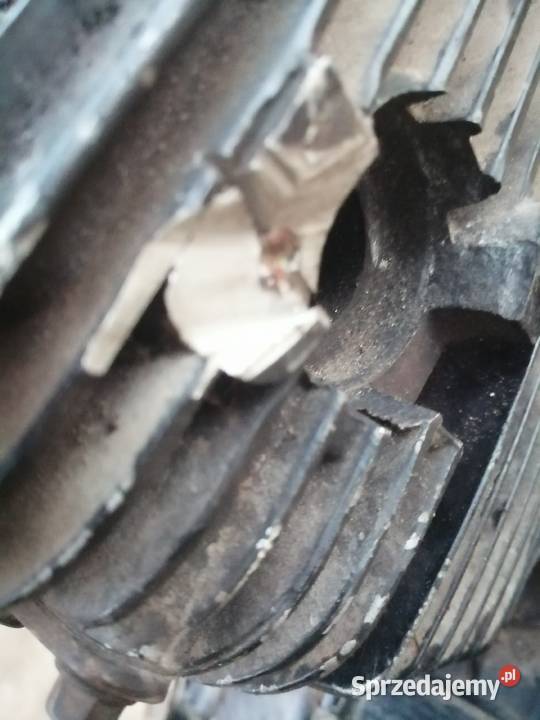 Silnik Loncin 250 249cm3 Pieniężno