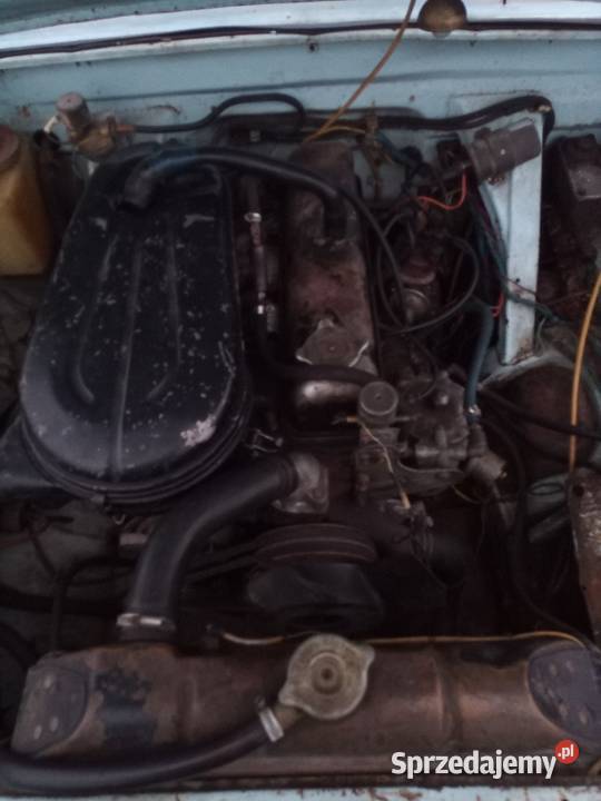 Wołga gaz 24 zachodniopomorskie Mieszkowice