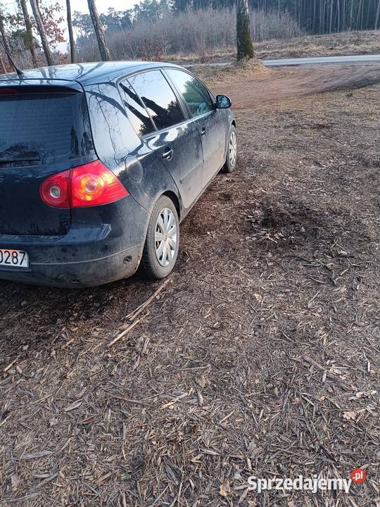 Volkswagen Vw Golf 5 5d 16Mpi LPG przelot Hatchback Golf Nowe Miasto Lubawskie