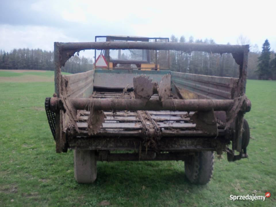 Rozrzutnik pomorskie Szatarpy