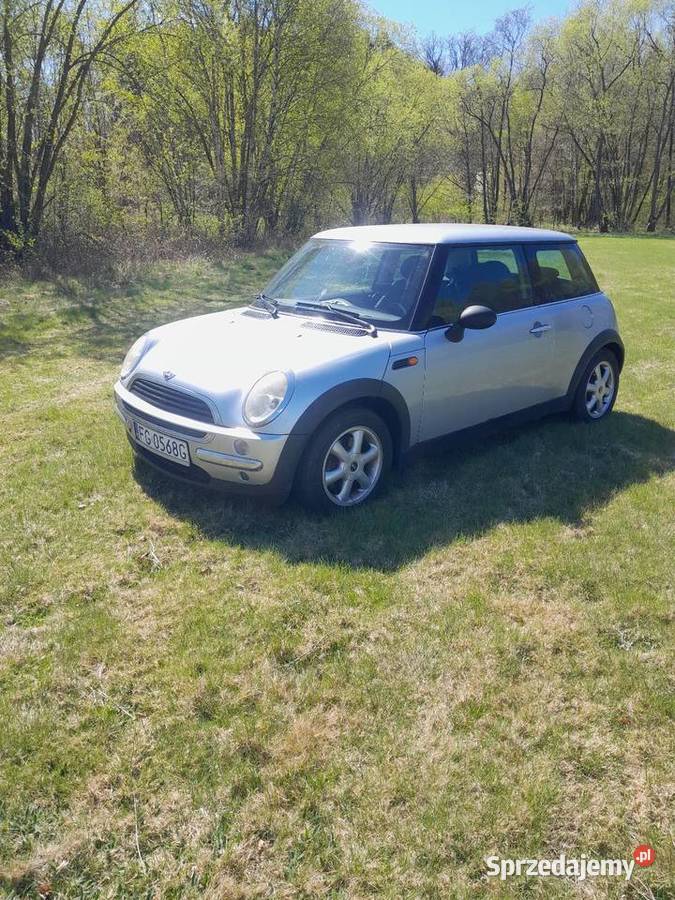 Mini r50 Gorzów Wielkopolski
