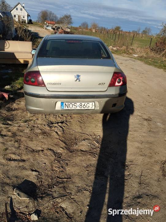 Peugeot 407 Motoryzacja Morąg