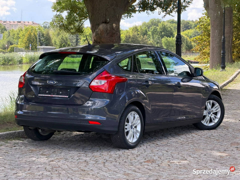 Ford Focus Ford Focus 16 TDCi DPF Champions nieuszkodzony mazowieckie