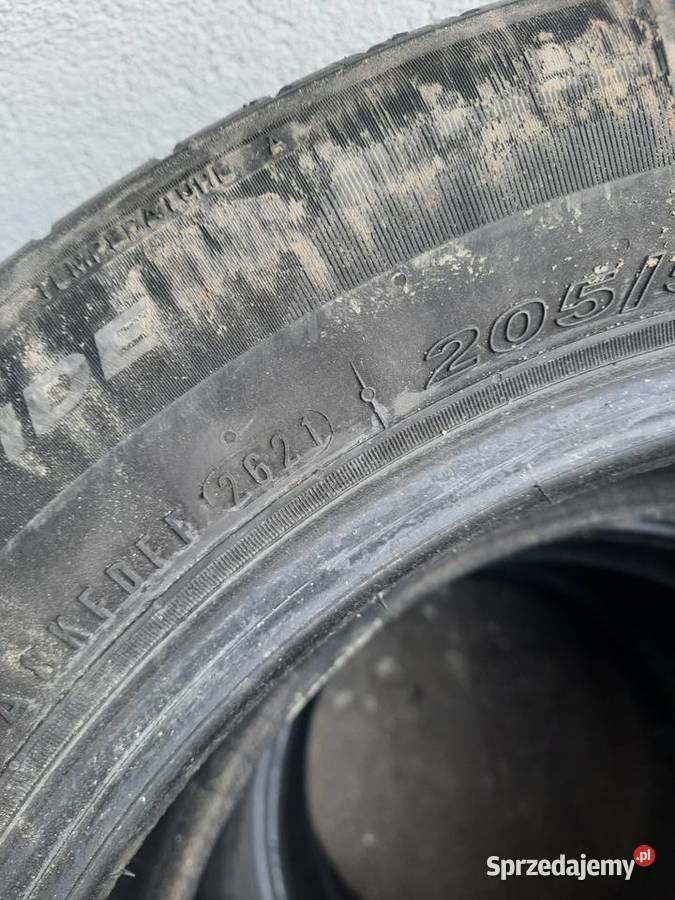 4xopony 2055516 16cale