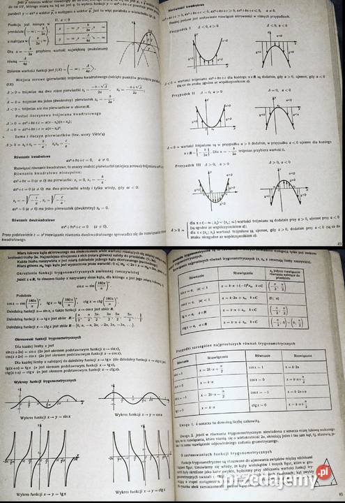 Tablice matematyczne fiz chem astronomiczne miękka