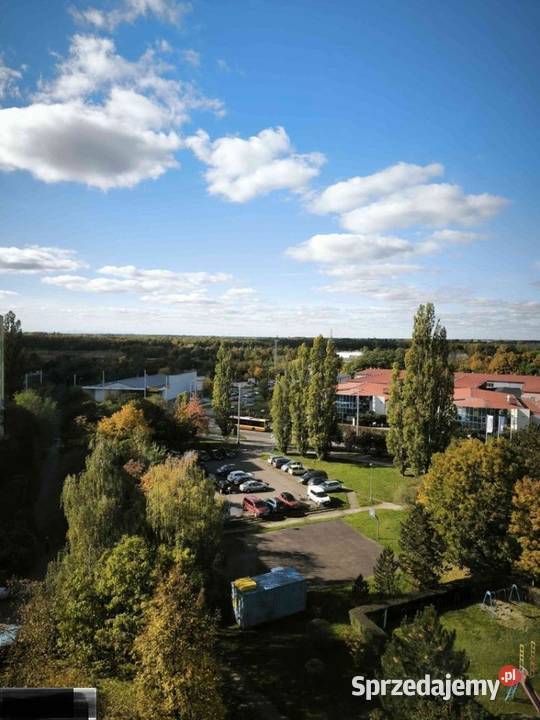 2pok 50met Żernickiej BALKONPIWNICAWINDA Wrocław Liczba pokoi 2 dolnośląskie