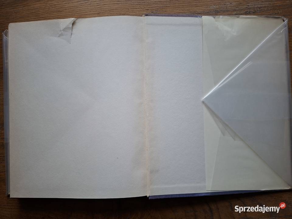 Sztuka Krakowa Tadeusz Dobrowolski