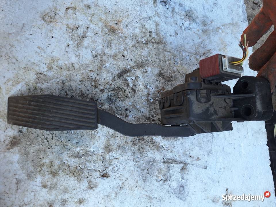 Potencjometr Gazu Opel Astra H 19 120 Pozostałe Wisznice