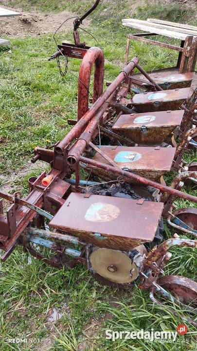 Siewnik do buraków Kosina