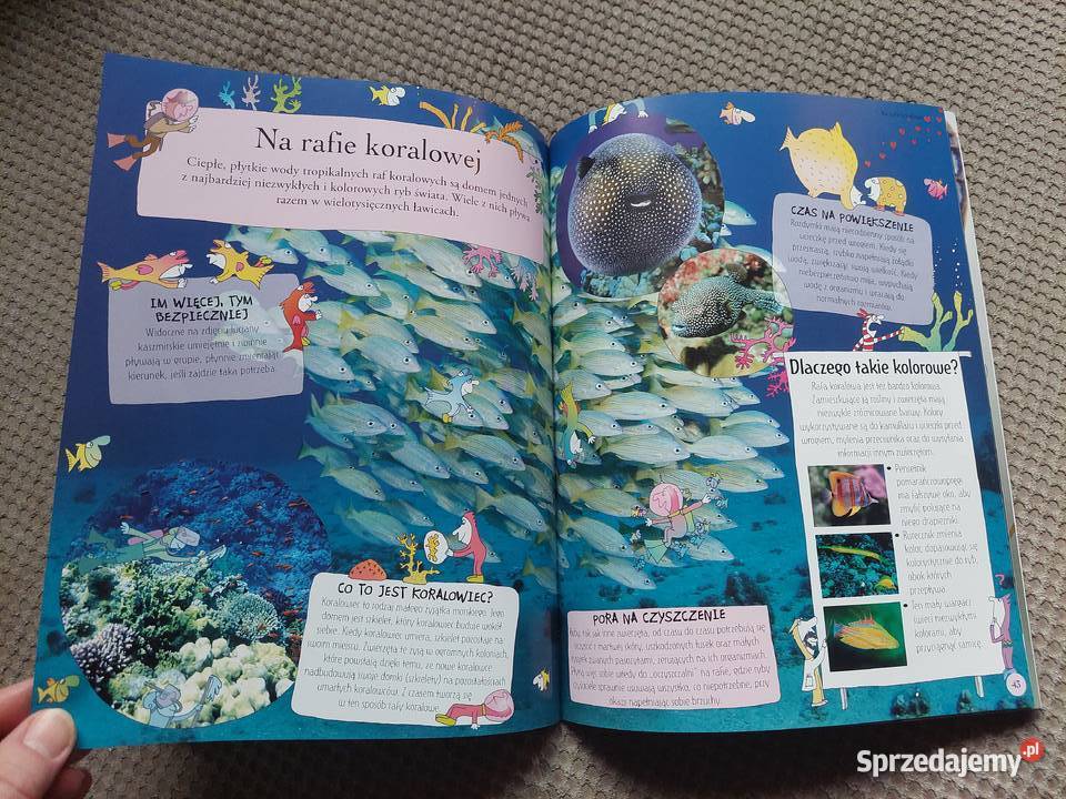 National Geographic Małe Mózgofalki poznają małopolskie Kraków