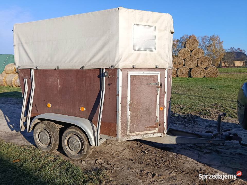 Przyczepa do przewozu koni Radzyń Podlaski