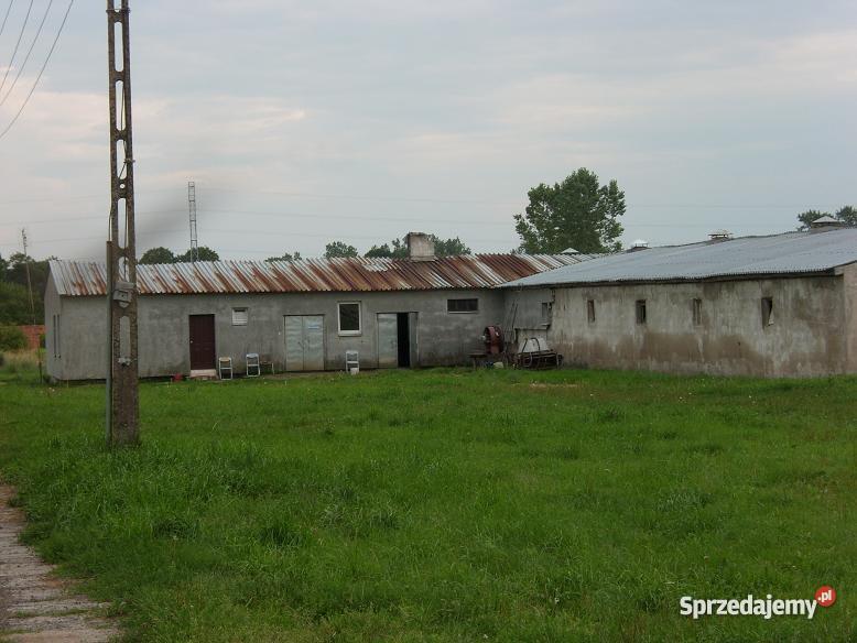 ferma drobiu kurnik kurniki hala produkcyjna