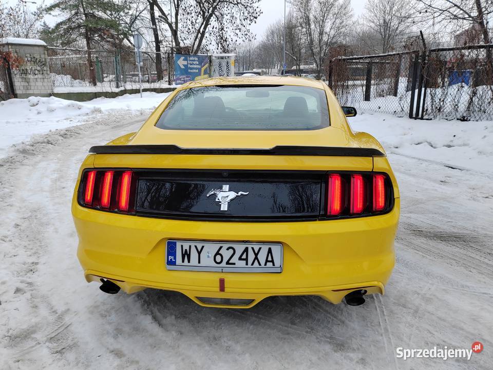 Ford mustang 37 Warszawa