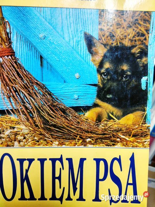 Okiem psa książki outlet używane antykwariat Warszawa