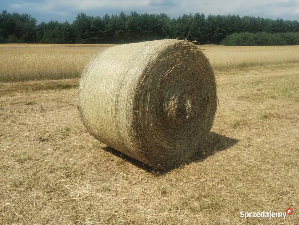 Prasa rolująca pasowa Lely 445 Rotor Noże Siatka Koniecpol