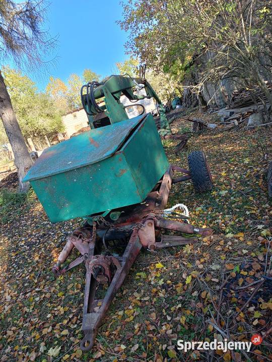 Cyklop nieuszkodzony Szczepki