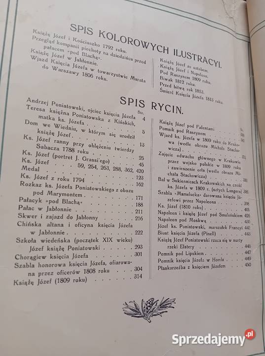 AM Skałkowski Książę Józef Katolik Spółka wielkopolskie Koźminek