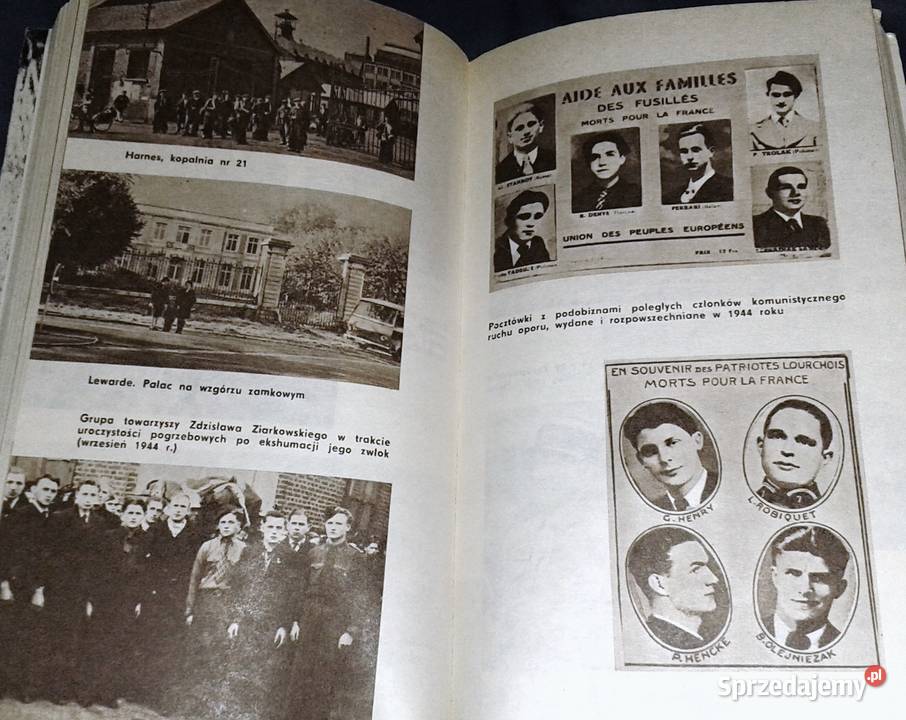 Chłopcy z Nordu i PasdeCalais Jan Skowron lubelskie Chełm