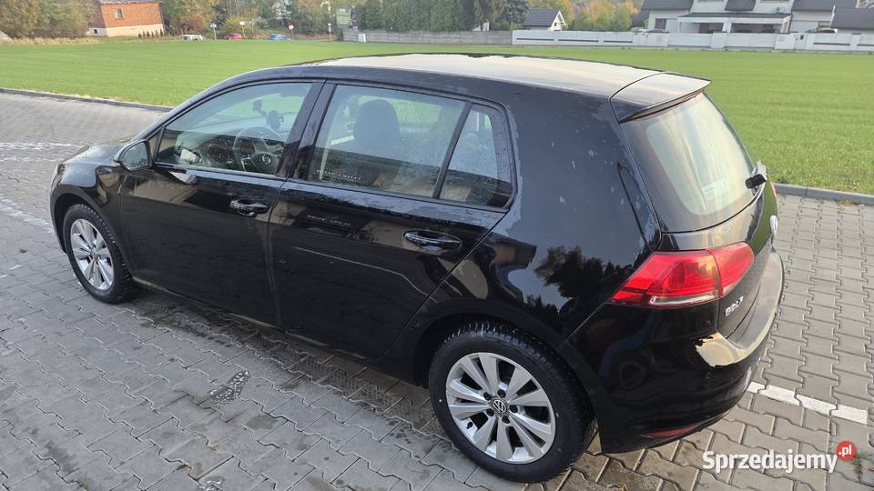 Volkswagen Golf 7 2015r BlueMotion Salon 1 Golf małopolskie Kraków