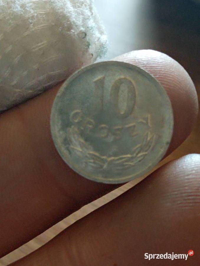 Sprzedam 10 gr 1967 r zzm Chełm
