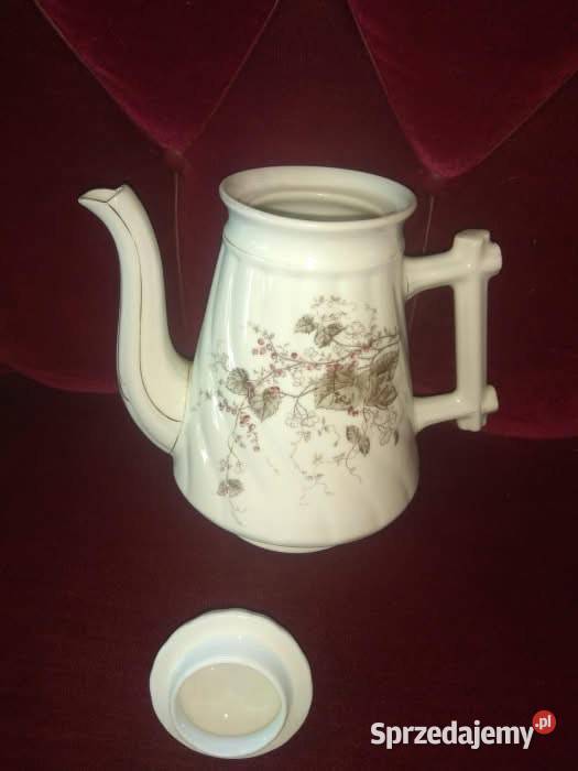 Dzbanek patyczak pomorskie Gdańsk