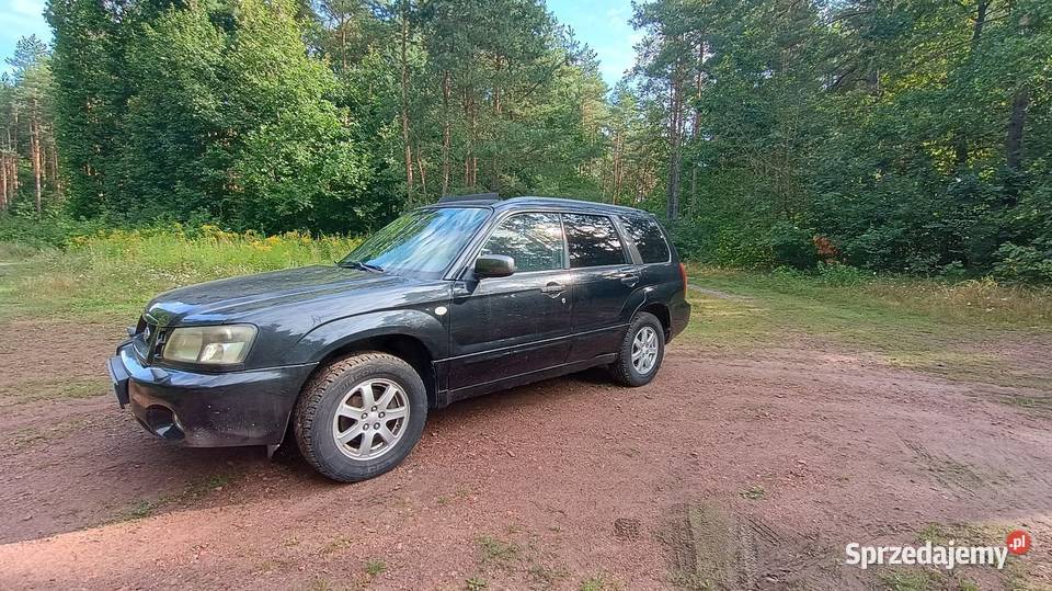 Subaru Forester SG 20X światła przeciwmgielne Rybnik