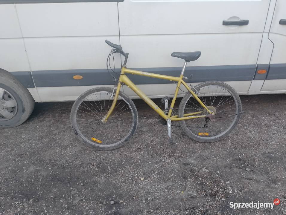 Rower Górski Trakingowy Miejski Pabianice