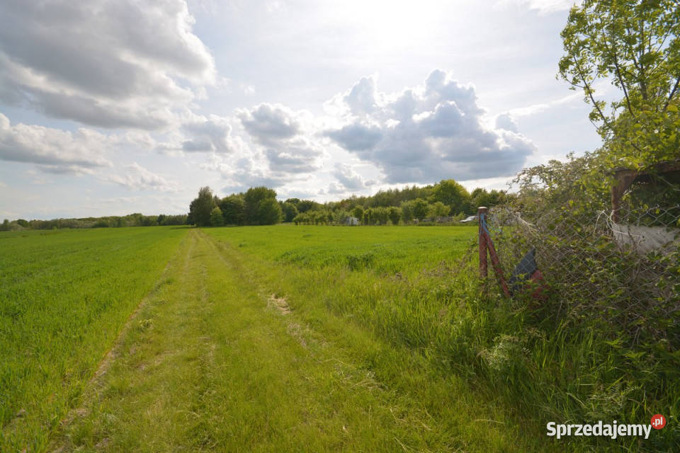 Działka Stara Wieś 4085m2 sprzedam