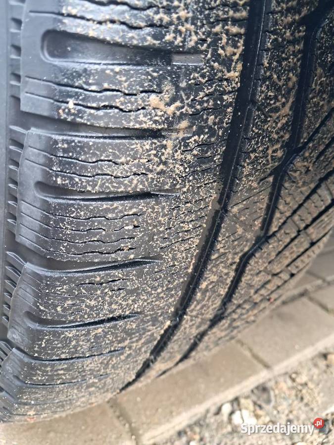 Michelin Pilot Alpin PA4 24545 R19 Opony i felgi Poznań sprzedam