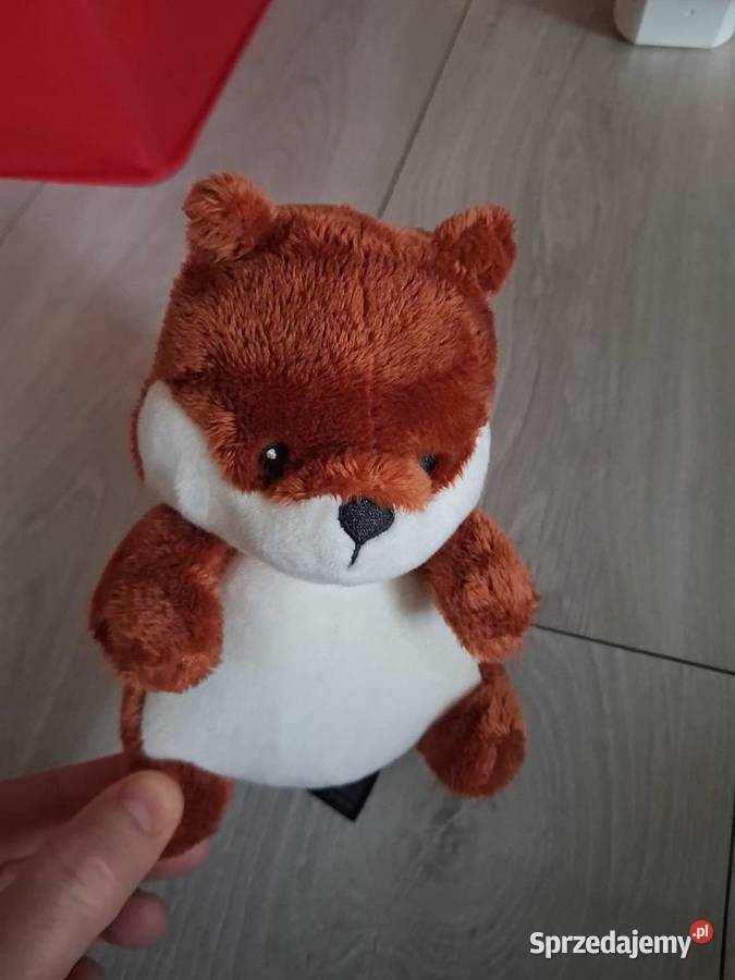 GANG słodziaków produkciaków biedronka Biała Podlaska sprzedam