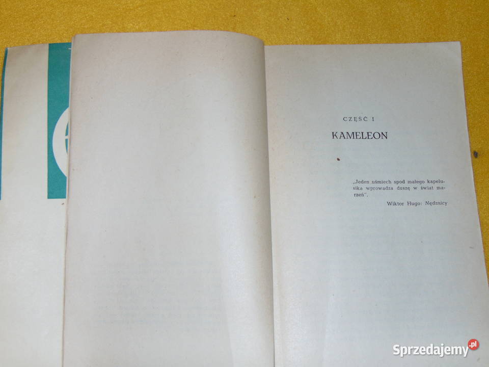 W klatce Eliza Orzeszkowa lubelskie