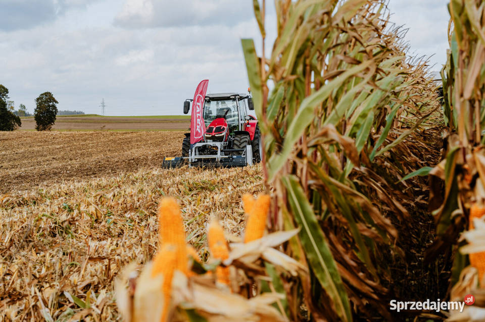 PromocjaKosiarka bijakowa TylnoCzołowa nieuszkodzony Bijakowe Rawicz