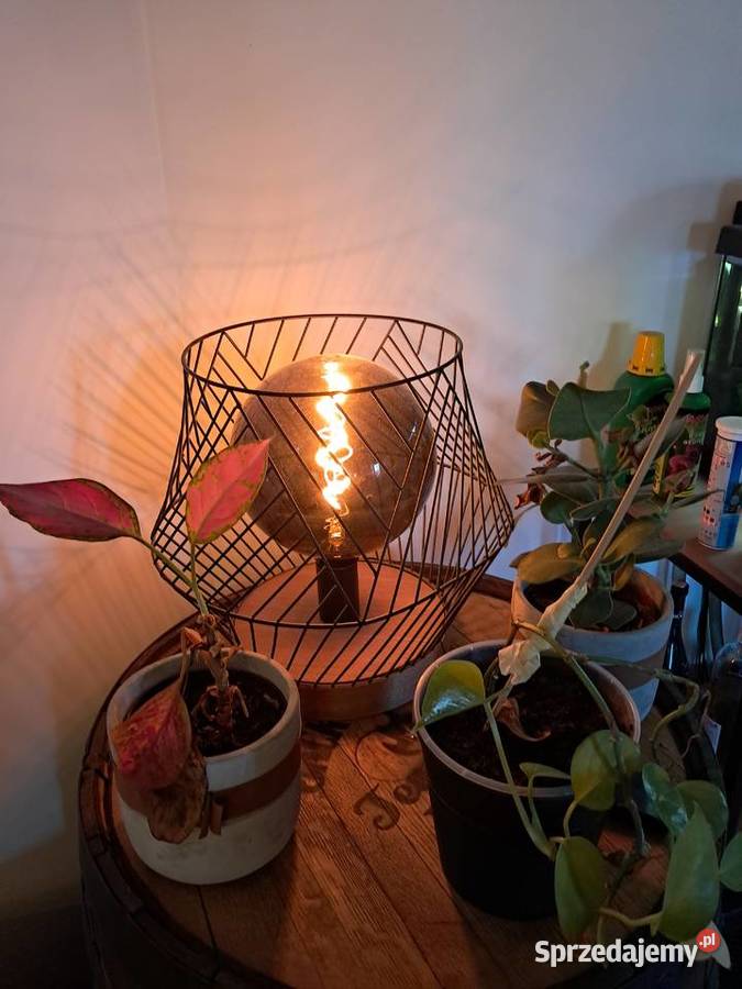 Syndyk sprzeda Wyposażenie domu Wejherowo