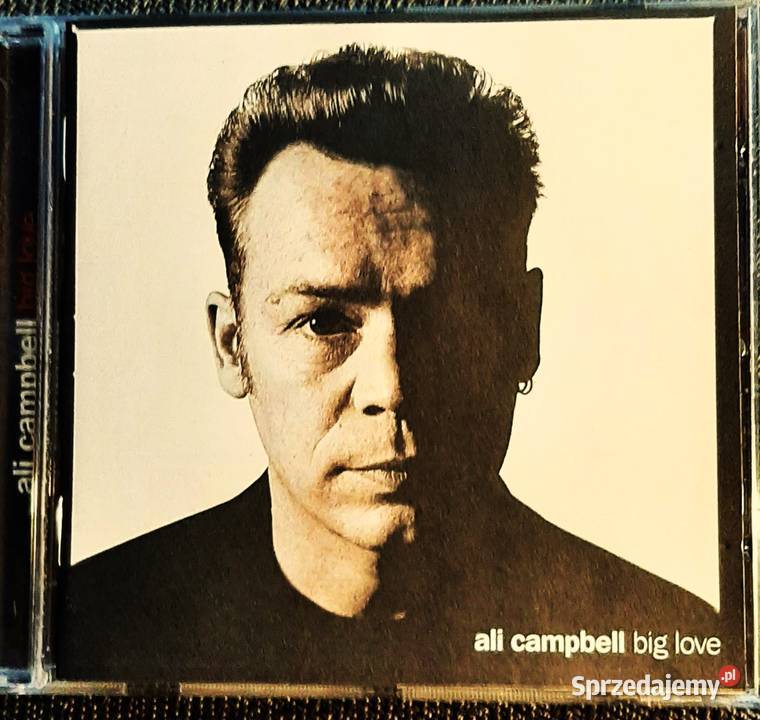 Album CD Led Zeppelin In Through The Out Door lubelskie