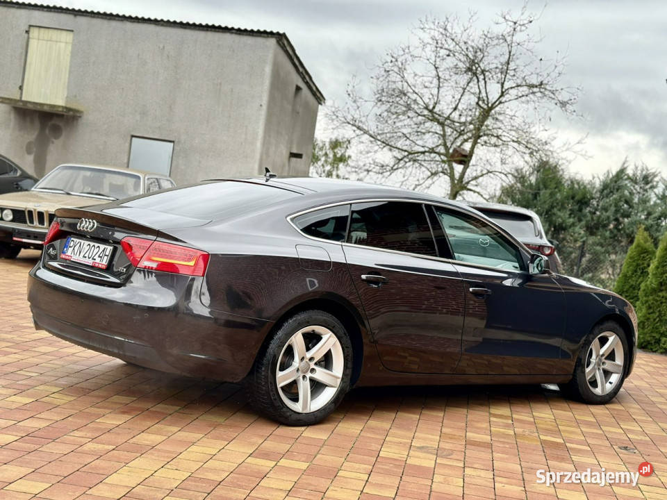 Audi A5 Zweryfikowany CarVertical 8T 20072016 Sadlno