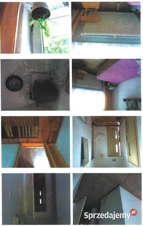 Lubycza Królewska udziały w siedlisku i gruntach 5916m2 sprzedam