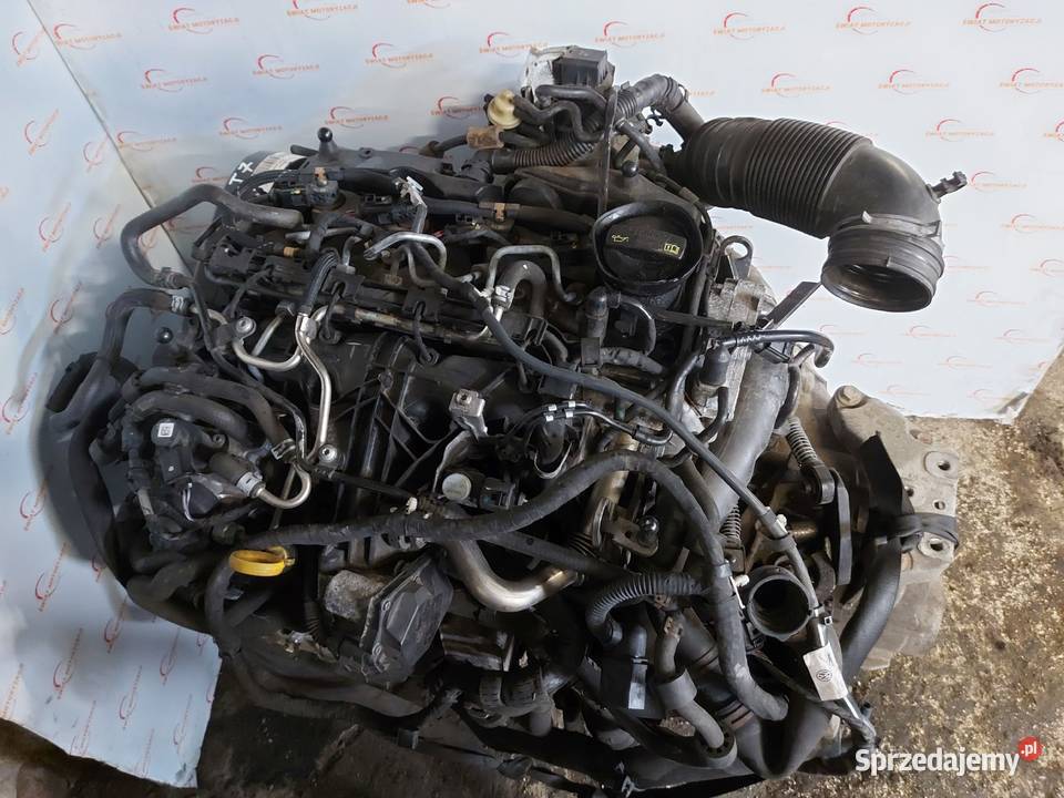 AUDI Q3 20 TDI CFF CFFC 140 148 13r silnik osobowe Silniki kompletne świętokrzyskie Kielce