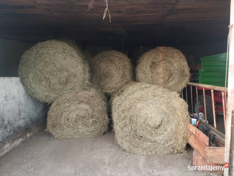 Siano łódzkie Pustkowa Góra