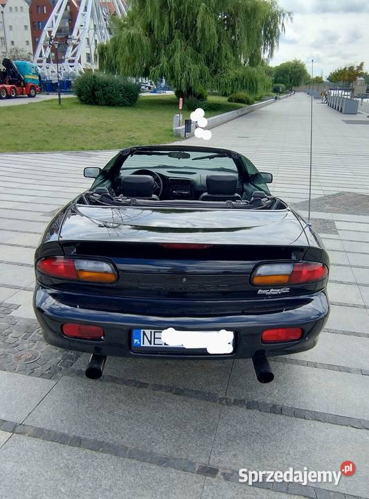 Chevrolet Camaro IV Convertible 2001r 38 V6 1 Wł warmińsko-mazurskie Elbląg
