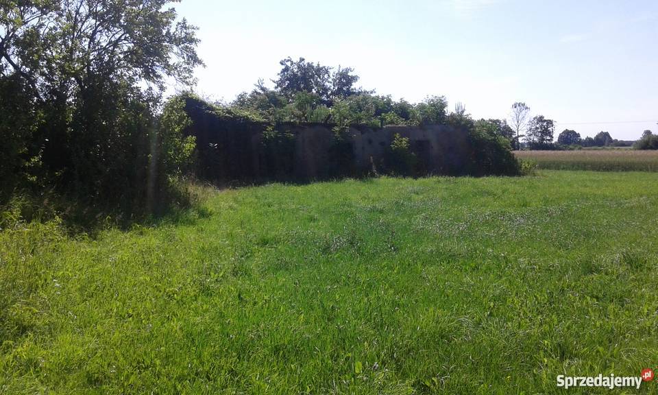 Sprzedam działkę mazowieckie Lipniki Stare