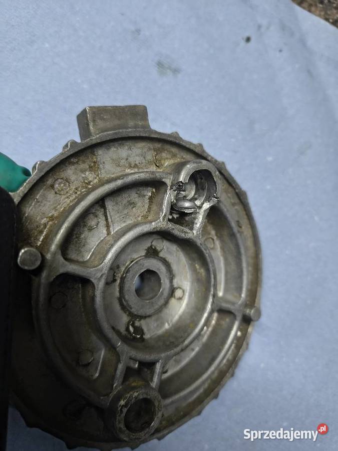 Szczękotrzymacz komar Żak Rzeszów